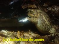 /home//u458753944/public_html/sourcegallery///McKaig Nature Center/2024-09-29/P9291594.JPG